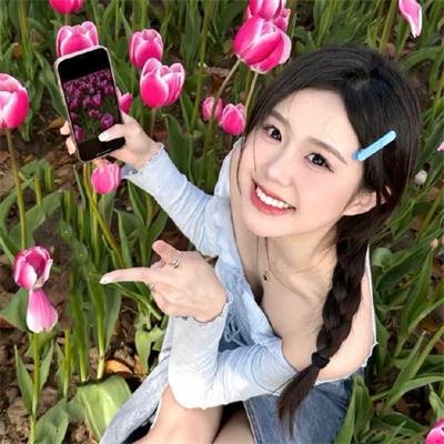 梦之山脉 海报